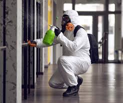 Why You Should Choose Our Mold Remediation Services in Fort Polk South, LA